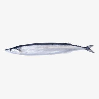 秋刀鱼产品实拍图免抠