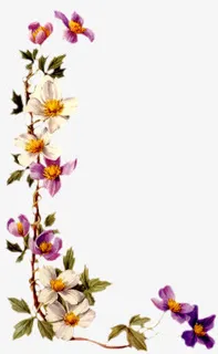 说莫红花白花绿叶免抠