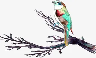 树枝上的小鸟免抠