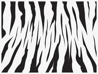 斑马对称条纹矢量免抠