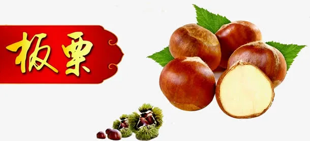 板栗素材图片免抠