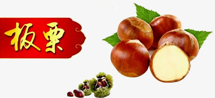 板栗素材图片免抠