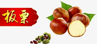 板栗素材图片免抠