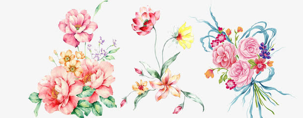 花朵免抠