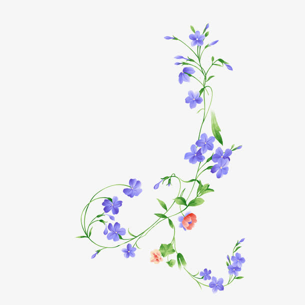花藤免抠