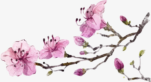 手绘桃花免抠