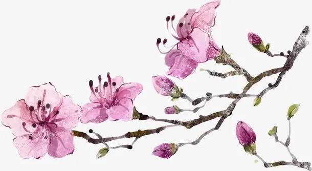 手绘桃花免抠