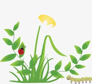 卡通花朵七星瓢虫免抠