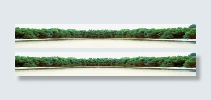 湖面上的树海报背景