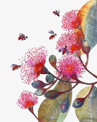 花朵和蜜蜂免抠