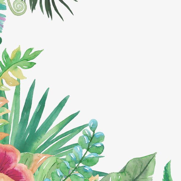 手绘植物叶子装饰海报免抠