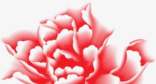 节日海报红色花朵手绘效果免抠