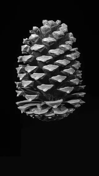 创意合适大图H5背景高清