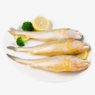东海野生小黄鱼免抠