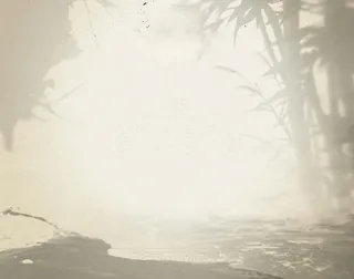 朦胧灰色竹林河水海报背景