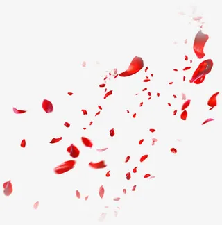 花瓣飘落素材免抠