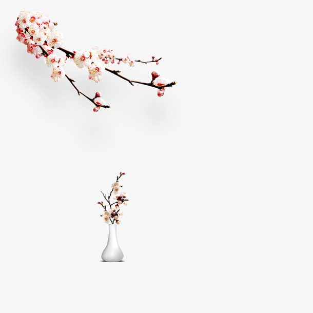 中国风杏花花瓶插画免抠