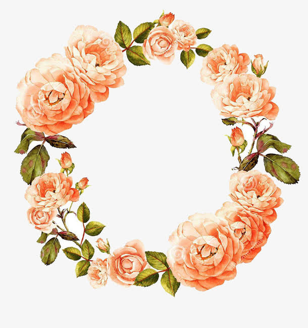 玫瑰花边框免抠