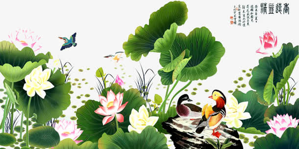 荷花池塘免抠