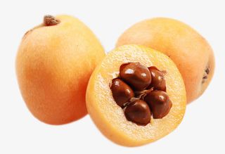 现摘攀枝花米易新鲜枇杷果免抠