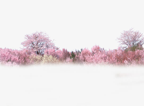 桃花免抠