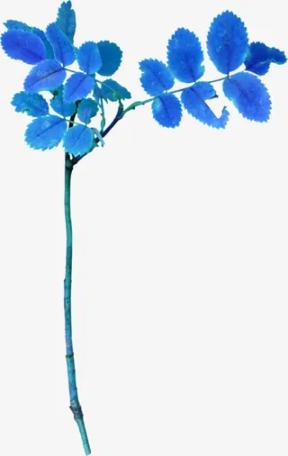 蓝色树枝免抠
