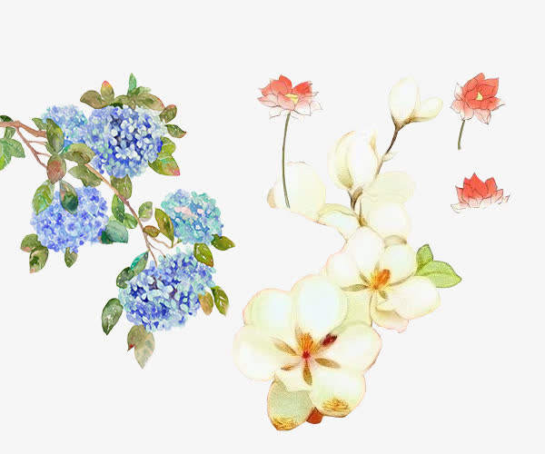 古风 花卉 花朵 手绘免抠