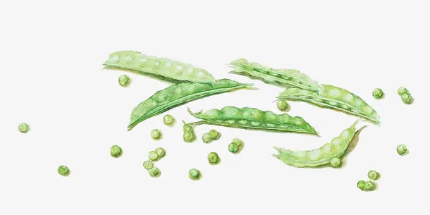 手绘豌豆图片素材免抠