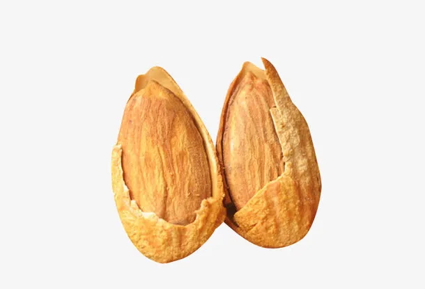 扁桃仁果仁特写免抠