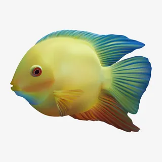 鱼类 鱼儿 鱼免抠