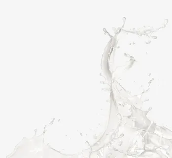 牛奶免抠 牛奶免抠