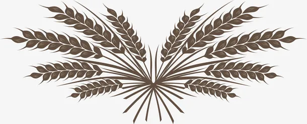 手绘麦穗谷物矢量图免抠