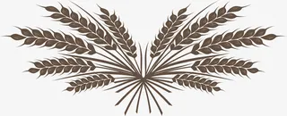 手绘麦穗谷物矢量图免抠