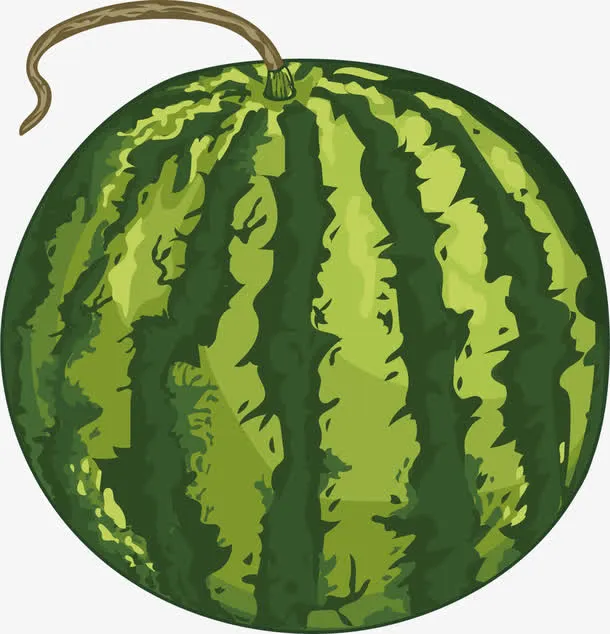 矢量手绘西瓜免抠