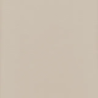 米色背景图片素材