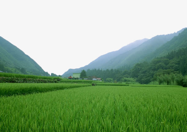 山脚下的美景免抠