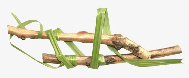 绿叶树枝免抠