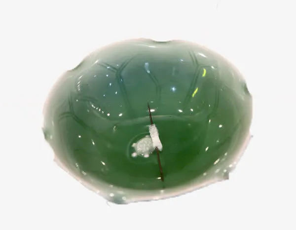 龟心荷叶碗水浮针免抠