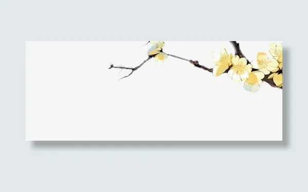 黄梅花免抠