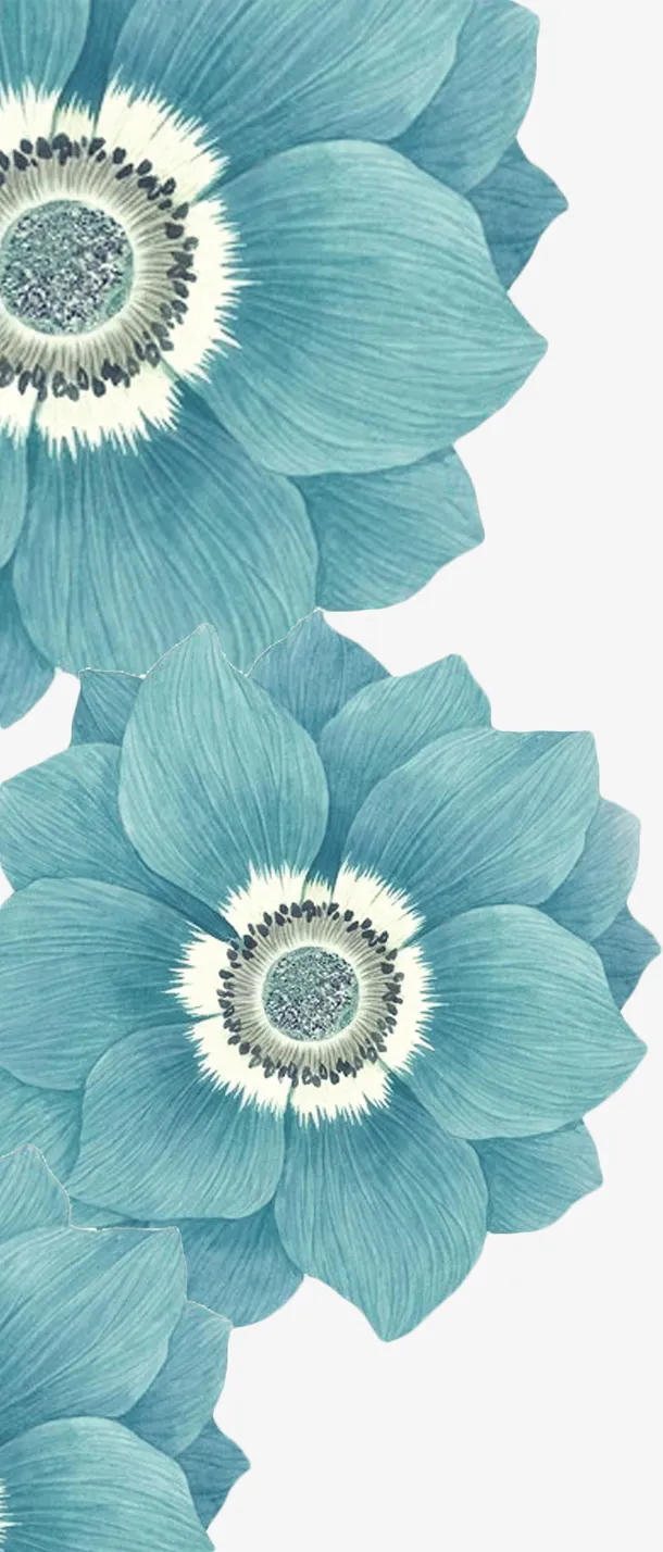 荷花，花朵，花卉免抠