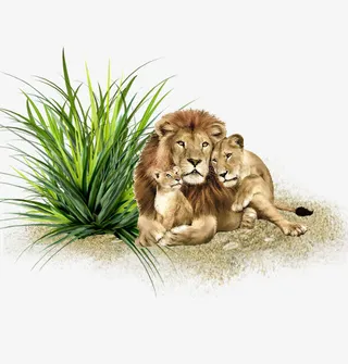 绿叶狮子全家福免抠