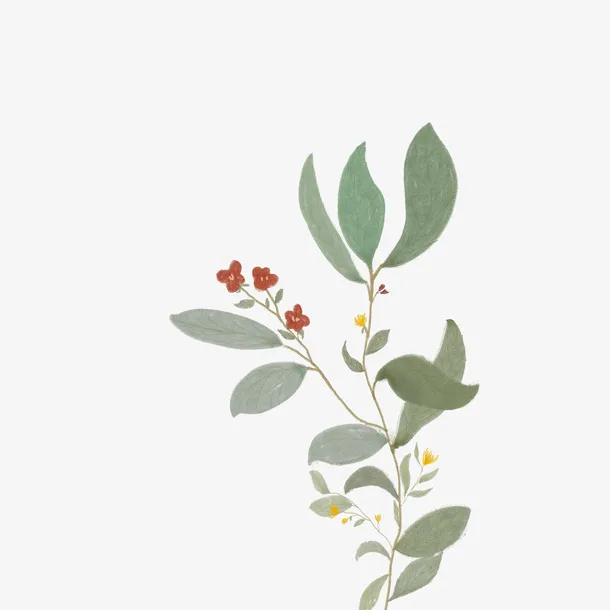 古风花朵树枝 水墨免抠