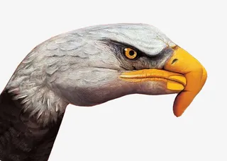 手绘老鹰手势免抠