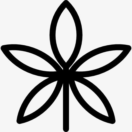 Palmatelly 图标免抠