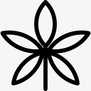 Palmatelly 图标免抠