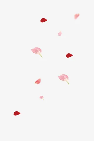 飘落的花瓣免抠