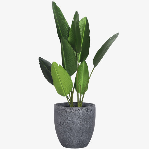 家居装饰绿植盆栽免抠