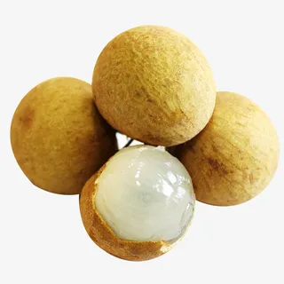 实物四颗新鲜龙眼桂圆免抠