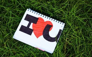 草地,背景,png,素材高清