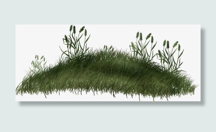 绿色草皮免抠